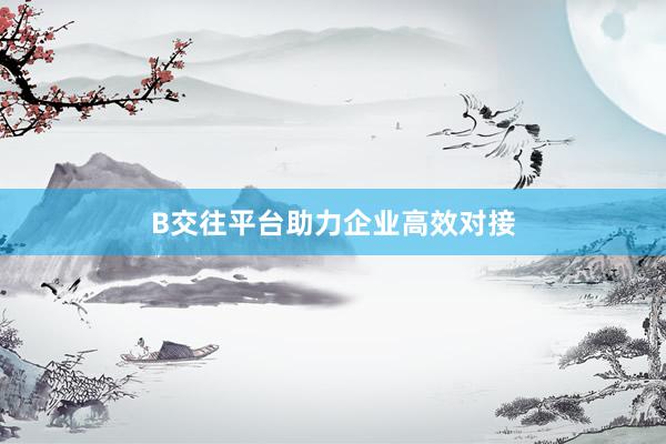B交往平台助力企业高效对接